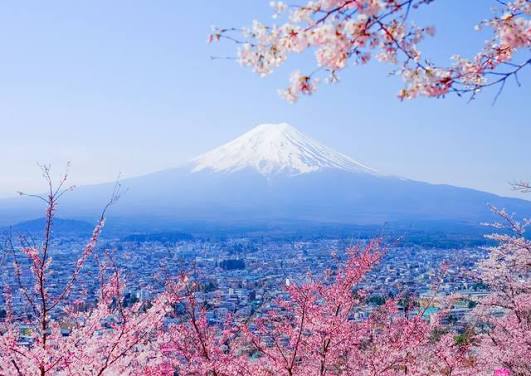 files/fuji.jpg